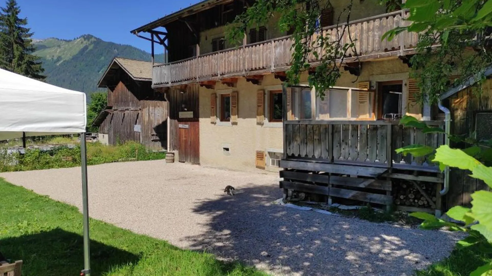 Apartman Montriond: Appartement Chaleureux 6 Pers, Terrasse, Pres Des Navettes - Fr-1-679-21 Franciaország